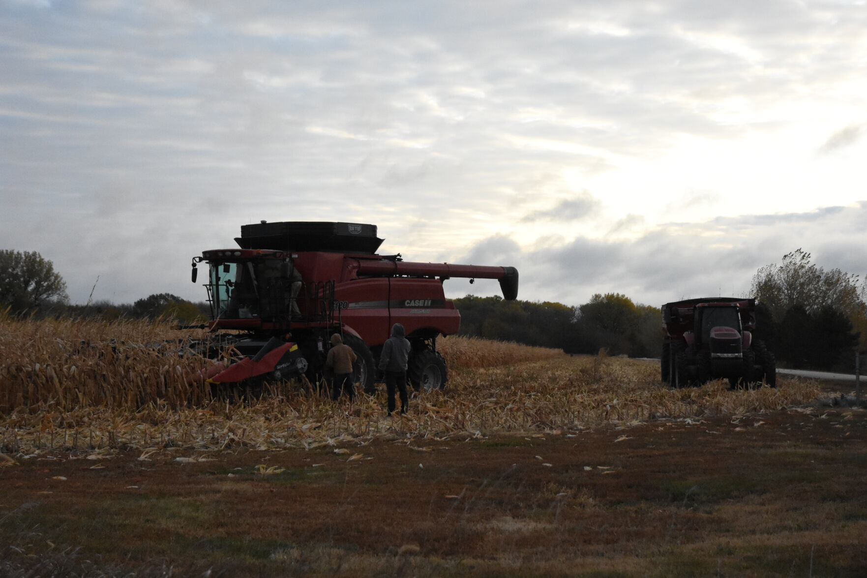 Rempel Harvest (26).JPG